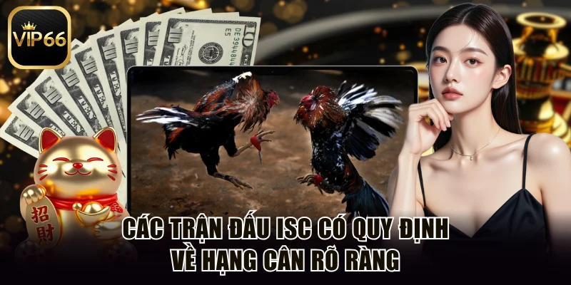 Các trận đấu ISC có quy định về hạng cân rõ ràng
