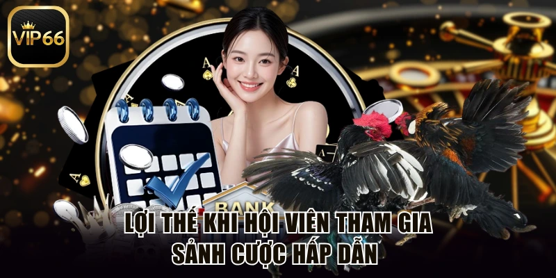Lợi thế khi hội viên tham gia sảnh cược hấp dẫn 